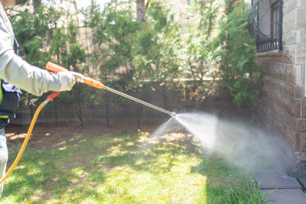 Best Pest Exclusion Services  in Franklinville, NJ